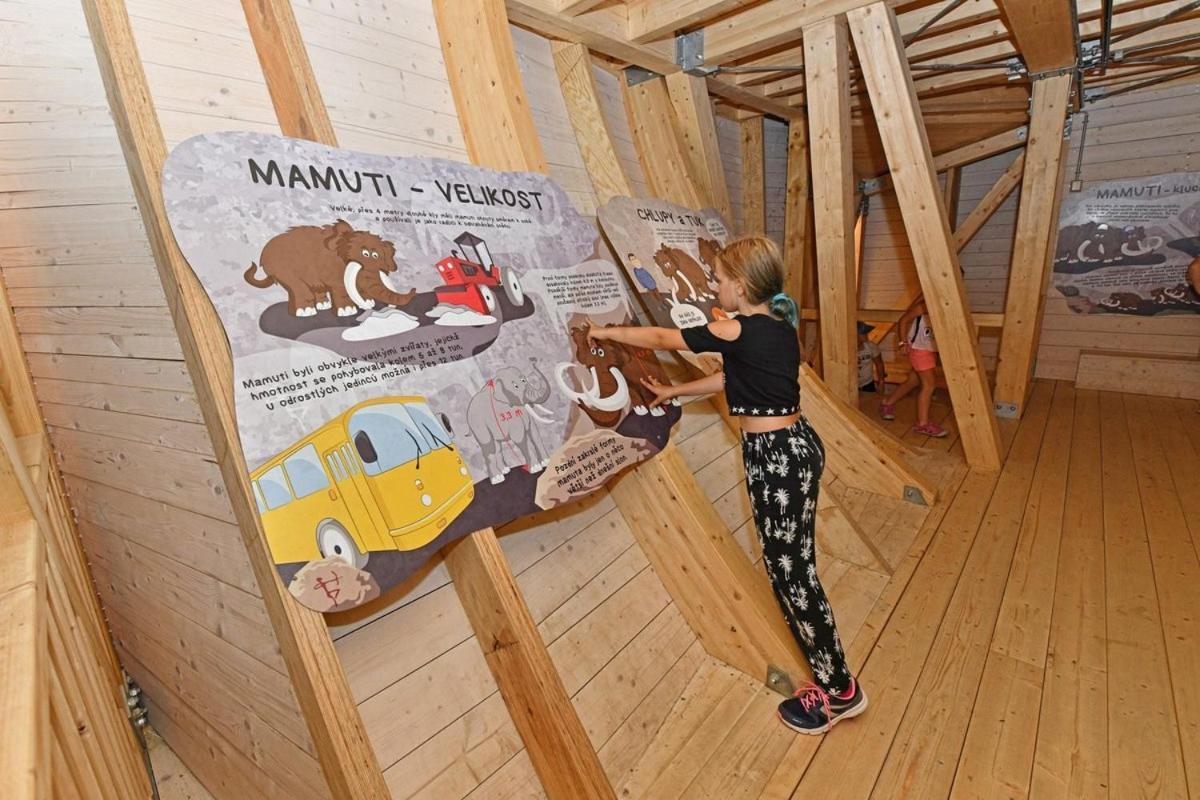 Apartman - Dolni Morava - "Sedmicka" Pro 2 Az 6 Osob Luaran gambar